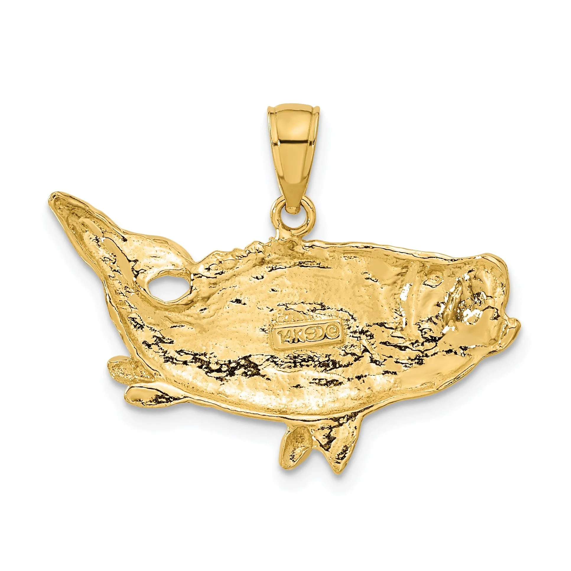 14k Yellow Gold Solid Polished Textured Finish Open Back Bass Fish Charm Pendant