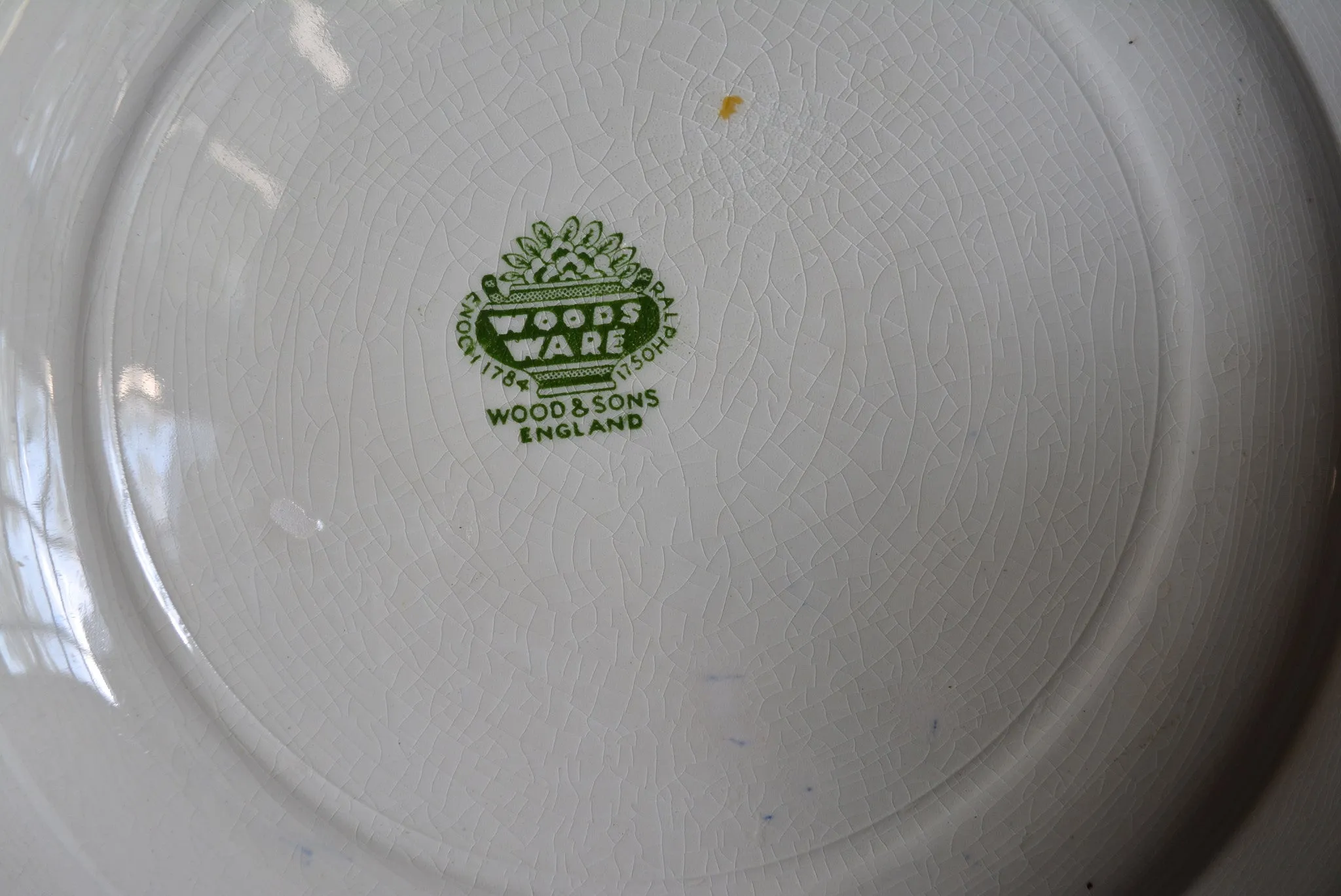 Antique Green English Transferware Handpainted Fish Plate w/ Roses Border Woods Ware