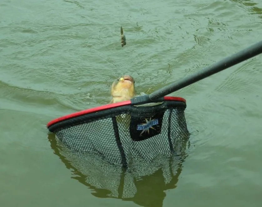 Dynamite Floating Landing Net