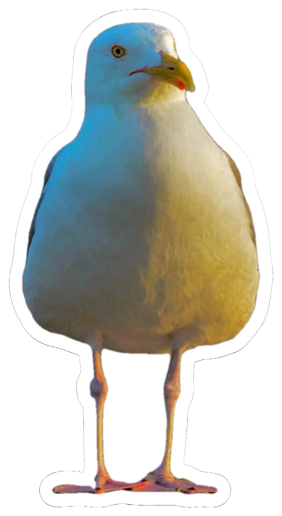Patrick The Seagull Sticker