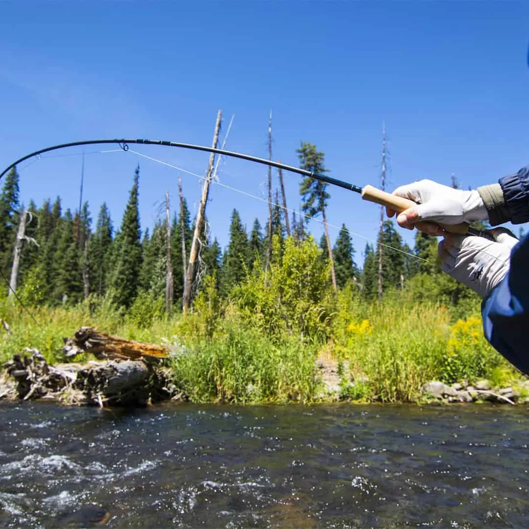 Thomas & Thomas Avantt Fly Rod