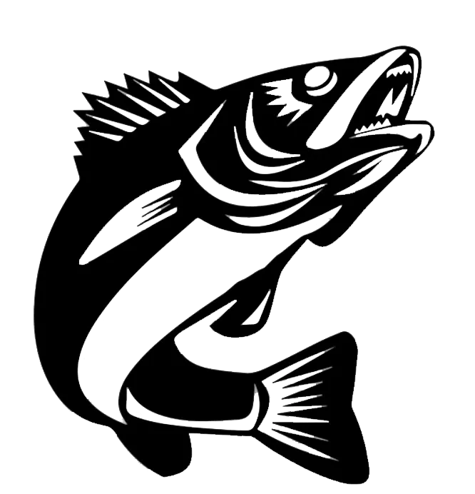 Walleye Fish - Metal Wall Art