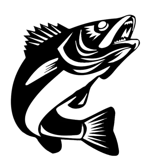 Walleye Fish - Metal Wall Art